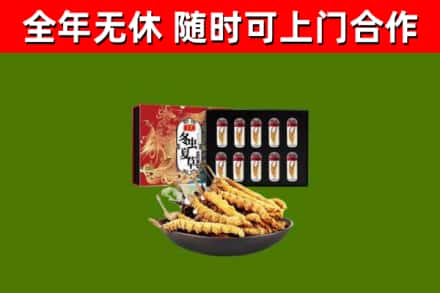 乌兰回收冬虫夏草价格