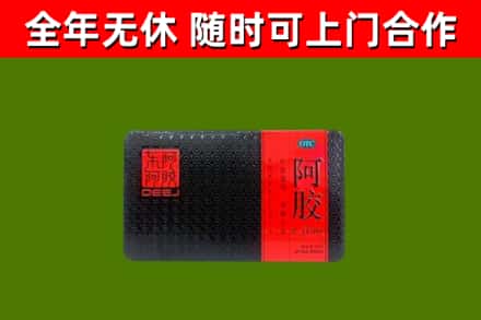 乌兰回收阿胶